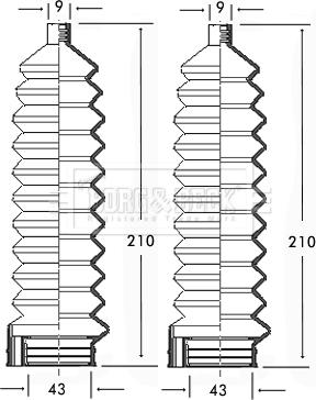 Borg & Beck BSG3105 - Ansamblu burduf, directie aaoparts.ro