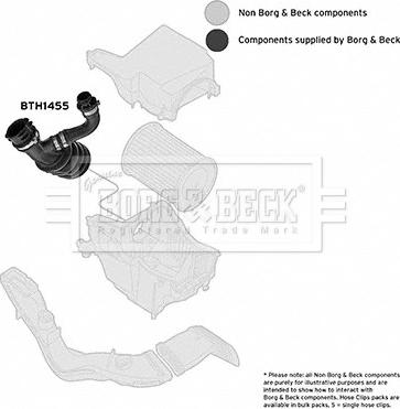 Borg & Beck BTH1455 - Palnie, filtru de aer aaoparts.ro