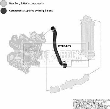 Borg & Beck BTH1439 - Furtun aer supraalimentare aaoparts.ro