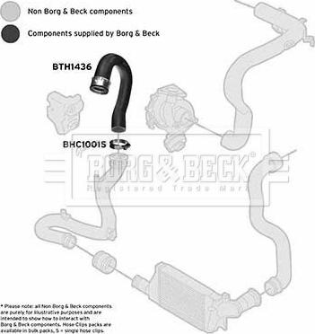 Borg & Beck BTH1436 - Furtun aer supraalimentare aaoparts.ro