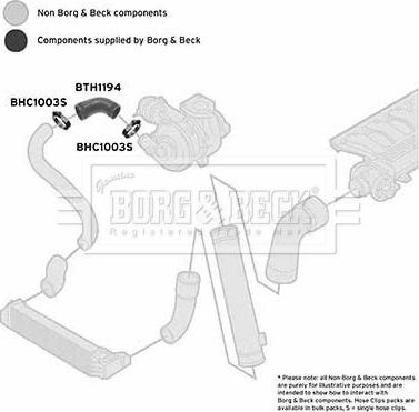 Borg & Beck BTH1194 - Furtun aer supraalimentare aaoparts.ro