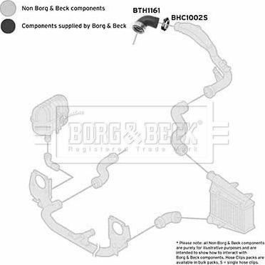 Borg & Beck BTH1161 - Furtun aer supraalimentare aaoparts.ro
