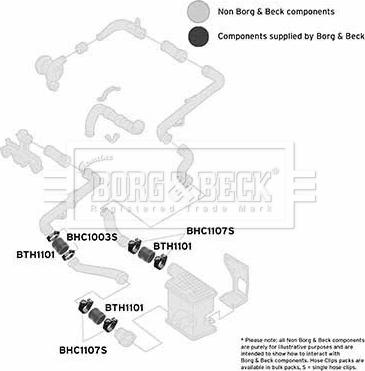Borg & Beck BTH1101 - Furtun aer supraalimentare aaoparts.ro