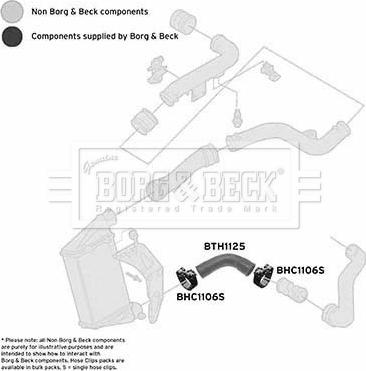 Borg & Beck BTH1125 - Furtun aer supraalimentare aaoparts.ro