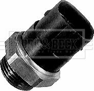 Borg & Beck BTS923.90 - Comutator temperatura, ventilator radiator aaoparts.ro