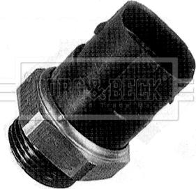 Borg & Beck BTS894.95 - Comutator temperatura, ventilator radiator aaoparts.ro