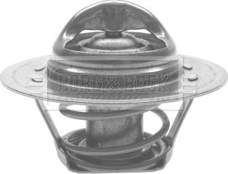 Borg & Beck BTS261.82 - Termostat,lichid racire aaoparts.ro