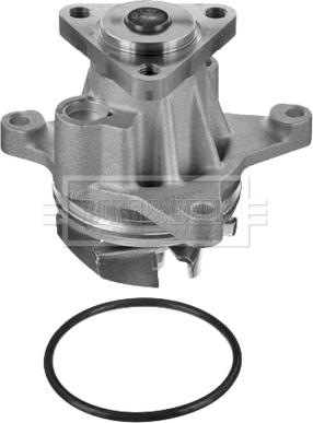 Borg & Beck BWP1951 - Pompa apa aaoparts.ro