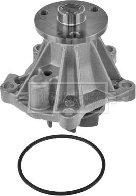 Borg & Beck BWP1589 - Pompa apa aaoparts.ro