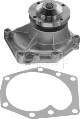 Borg & Beck BWP32695 - Pompa apa aaoparts.ro