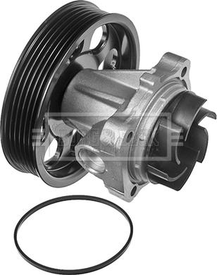 Borg & Beck BWP2032 - Pompa apa aaoparts.ro