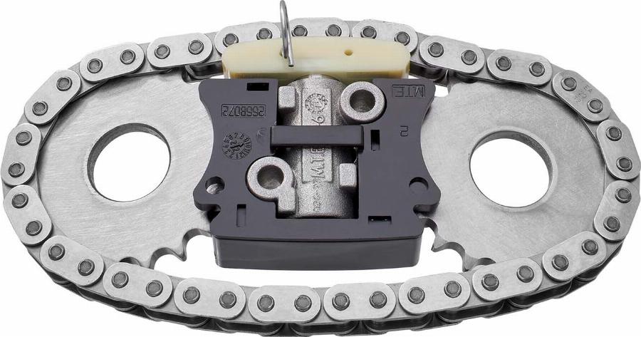 BorgWarner 59007150000 - Chit lant de distributie aaoparts.ro