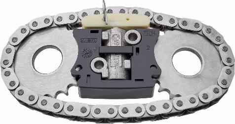 BorgWarner 59007150000 - Chit lant de distributie aaoparts.ro