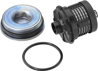 BorgWarner DS120456 - Set de piese, schimb de ulei-cuplaj lamelar (tracț. integr.) aaoparts.ro