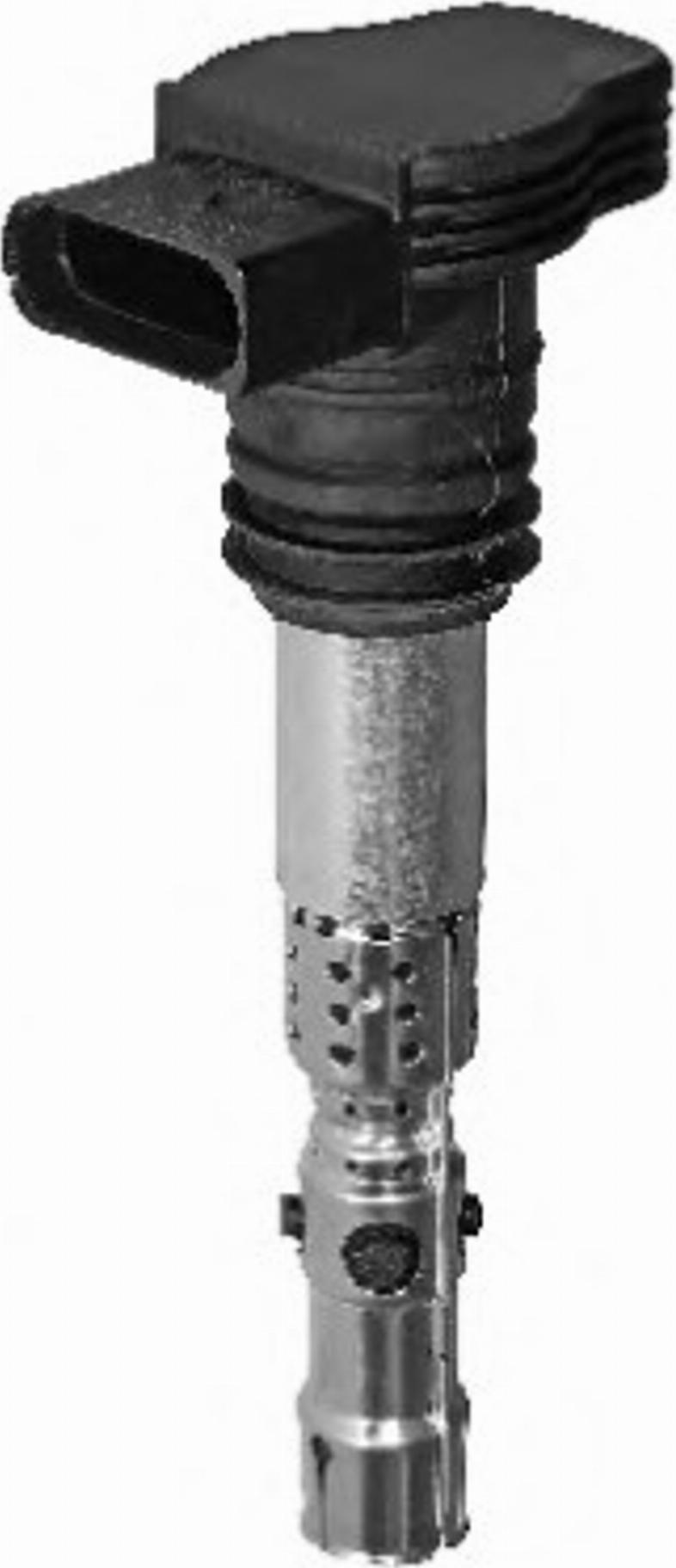 BorgWarner (BERU) 0040102043 - Bobina de inductie aaoparts.ro