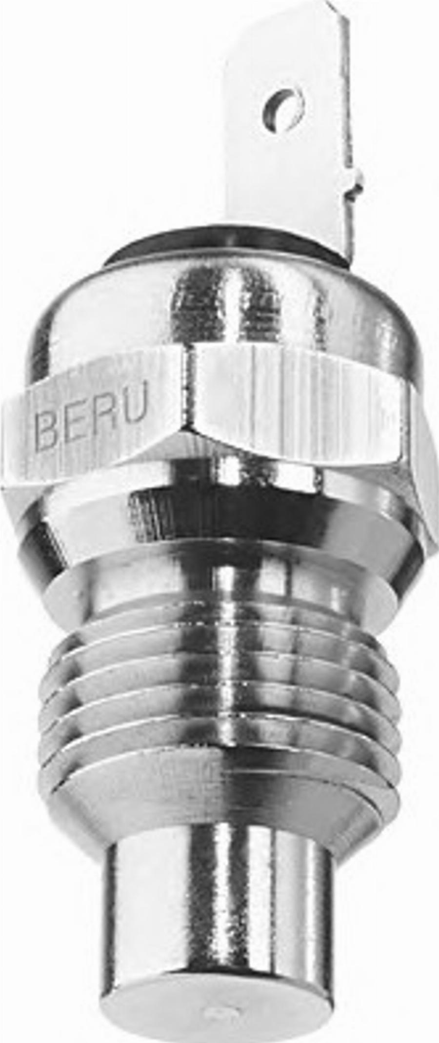 BorgWarner (BERU) 0824121098 - Senzor,temperatura lichid de racire aaoparts.ro