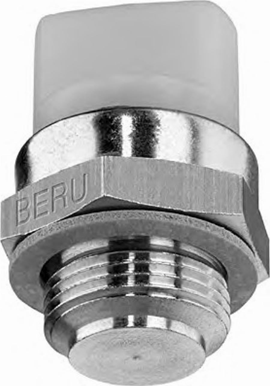 BorgWarner (BERU) 0824121118 - Comutator temperatura, ventilator radiator aaoparts.ro