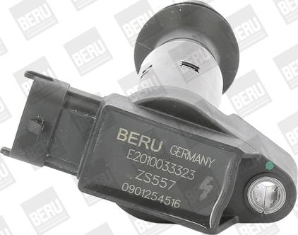 BorgWarner (BERU) ZS557 - Bobina de inductie aaoparts.ro