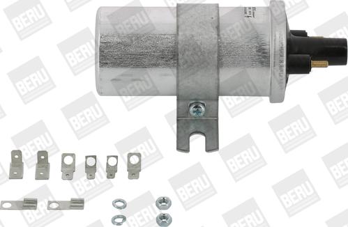 BorgWarner (BERU) ZS569 - Bobina de inductie aaoparts.ro