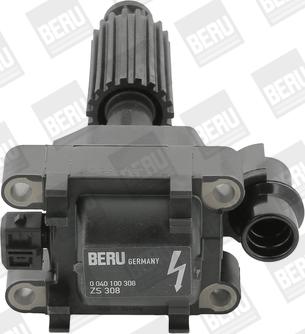 BorgWarner (BERU) ZS308 - Bobina de inductie aaoparts.ro