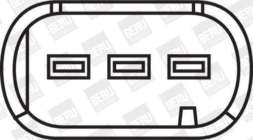 BorgWarner (BERU) ZS385 - Bobina de inductie aaoparts.ro