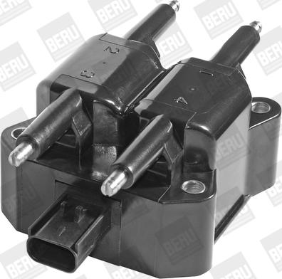 BorgWarner (BERU) ZS379 - Bobina de inductie aaoparts.ro