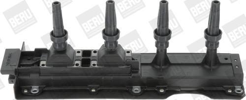 BorgWarner (BERU) ZS256 - Bobina de inductie aaoparts.ro