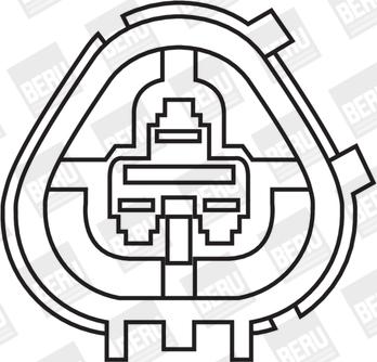 BorgWarner (BERU) ZS266 - Bobina de inductie aaoparts.ro