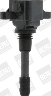 BorgWarner (BERU) ZSE066 - Bobina de inductie aaoparts.ro