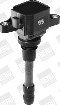 BorgWarner (BERU) ZSE066 - Bobina de inductie aaoparts.ro