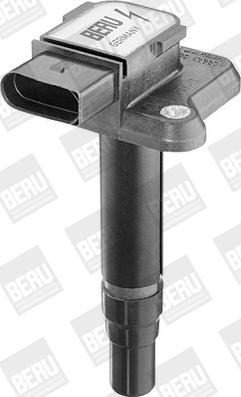 BorgWarner (BERU) ZSE009 - Bobina de inductie aaoparts.ro