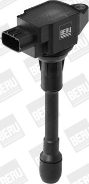 BorgWarner (BERU) ZSE088 - Bobina de inductie aaoparts.ro