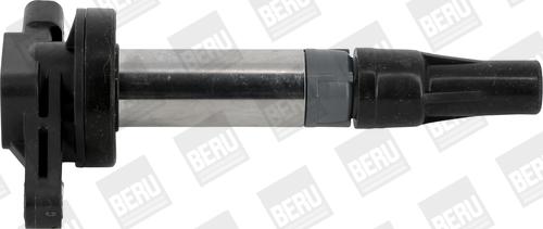 BorgWarner (BERU) ZSE196 - Bobina de inductie aaoparts.ro