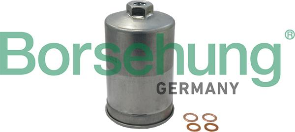 Borsehung B19091 - Filtru combustibil aaoparts.ro