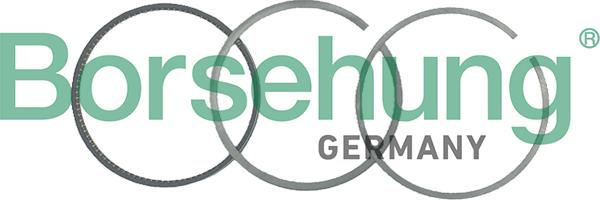 Borsehung B19049 - Set segmenti piston aaoparts.ro