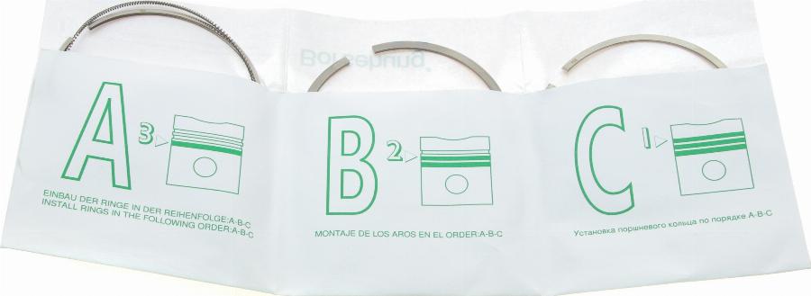 Borsehung B19045 - Set segmenti piston aaoparts.ro