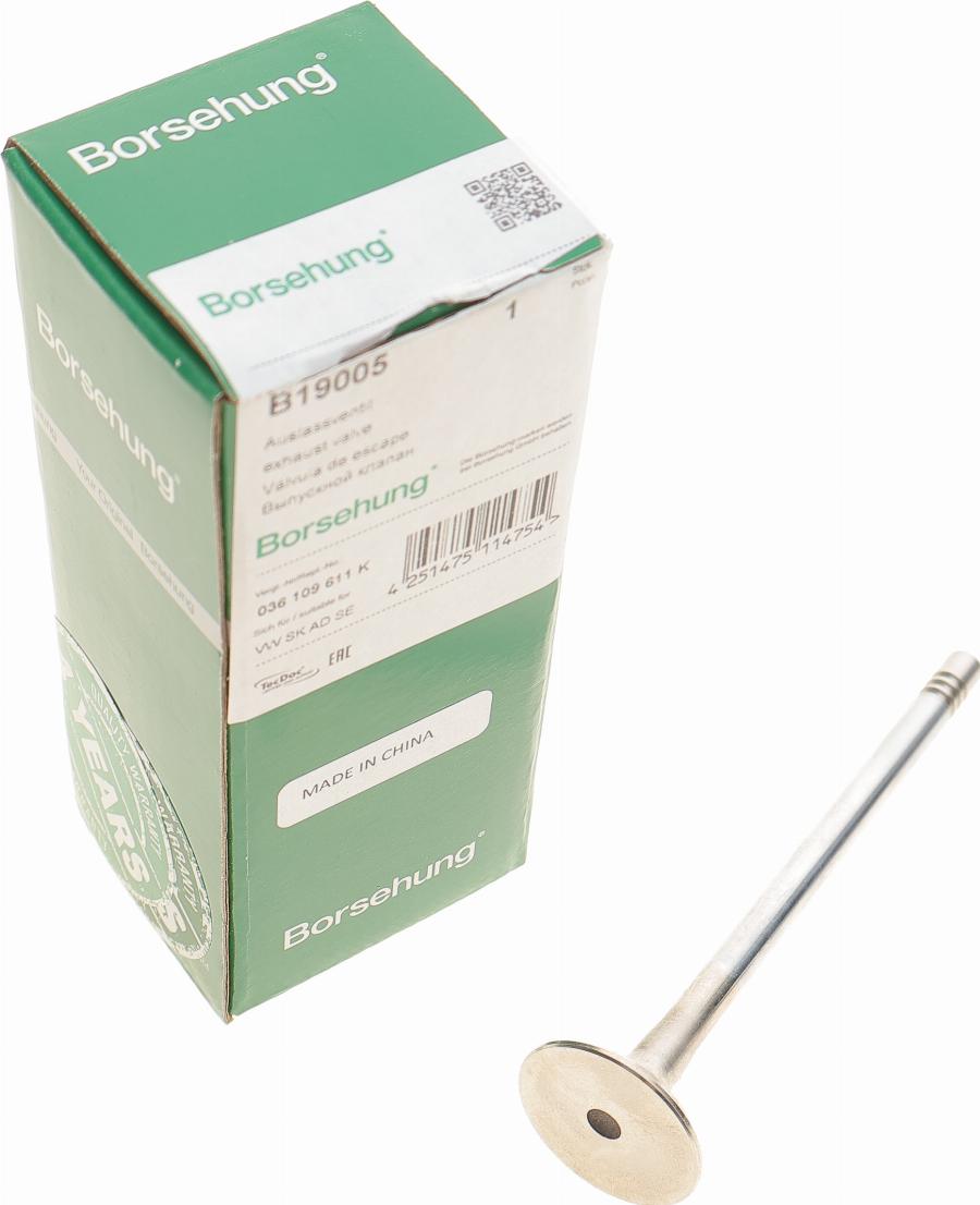 Borsehung B19005 - Supapa evacuare aaoparts.ro
