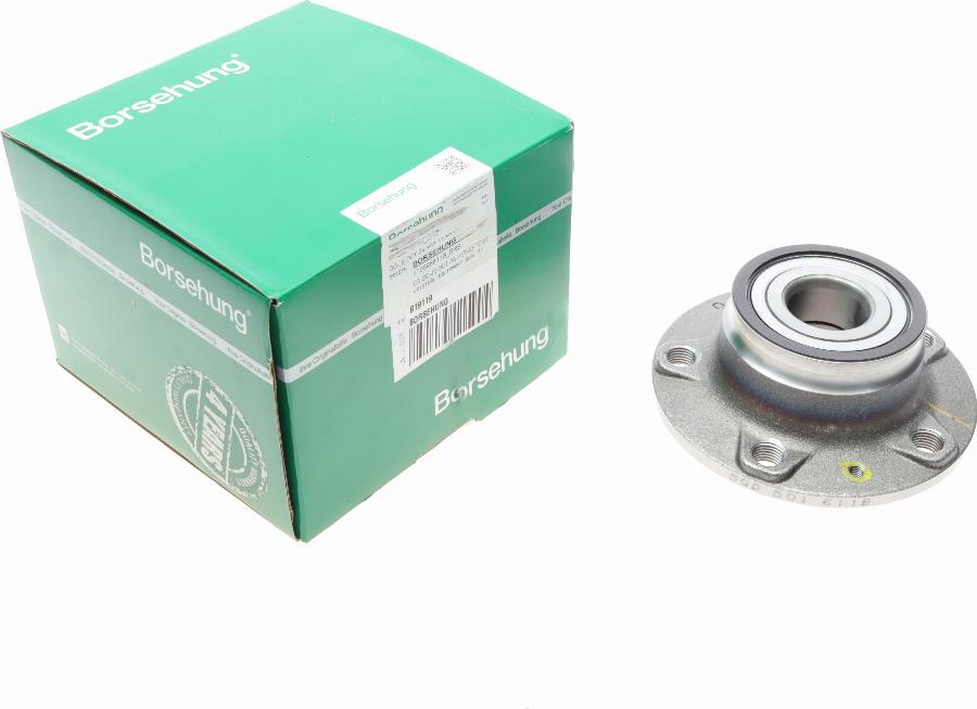 Borsehung B19119 - Set rulment roata aaoparts.ro