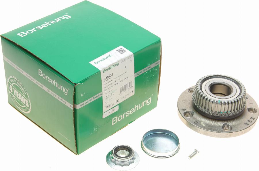 Borsehung B19231 - Set rulment roata aaoparts.ro
