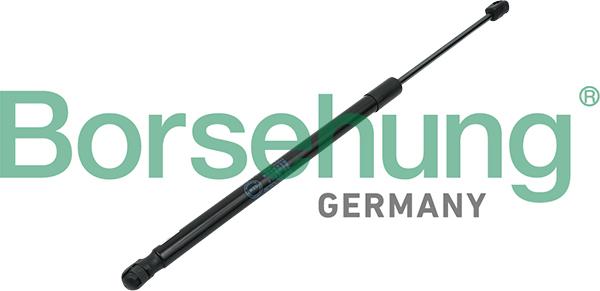 Borsehung B14195 - Amortizor portbagaj aaoparts.ro