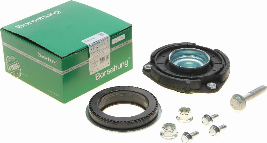 Borsehung B15130 - Rulment sarcina suport arc aaoparts.ro