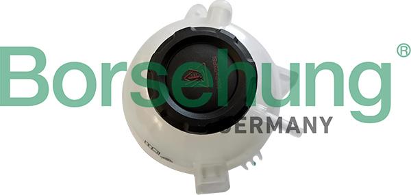 Borsehung B11942 - Vas de expansiune, racire aaoparts.ro