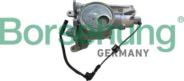 Borsehung B11900 - Pompa ulei aaoparts.ro