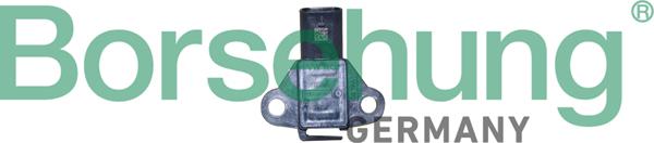 Borsehung B11886 - Senzor, presiune combustibil aaoparts.ro