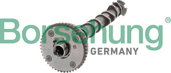 Borsehung B11319 - Ax cu came aaoparts.ro