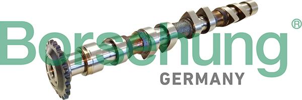 Borsehung B11314 - Ax cu came aaoparts.ro