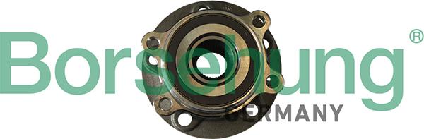 Borsehung B11290 - Set rulment roata aaoparts.ro