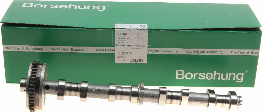 Borsehung B18979 - Ax cu came aaoparts.ro