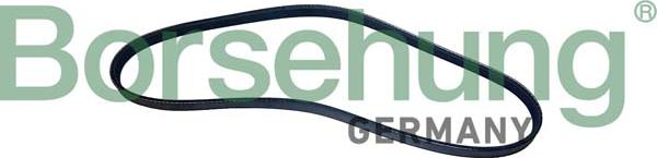 Borsehung B12496 - Curea transmisie cu caneluri aaoparts.ro