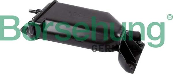 Borsehung B12430 - Filtru carbune activ, aerisire rezervor aaoparts.ro